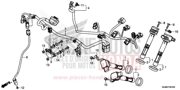 FAISCEAU SECONDAIRE de VFR800X "Crossrunner" CANDY ARCADIAN RED (R305) 2015